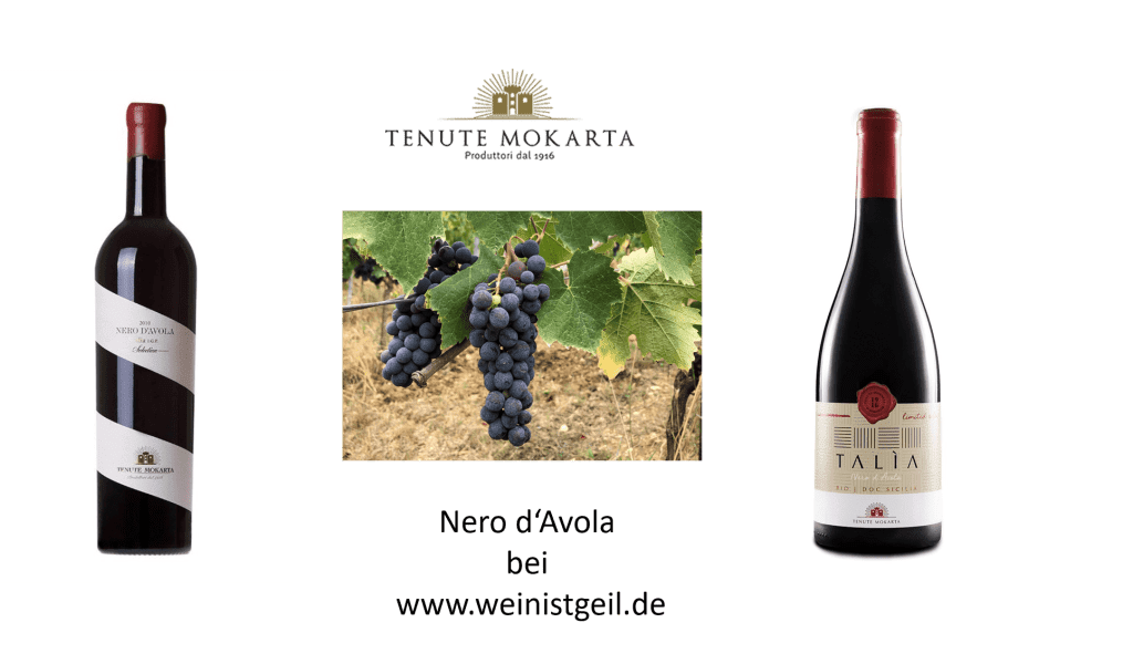 Nero d'Avola von Tenute Mokarta