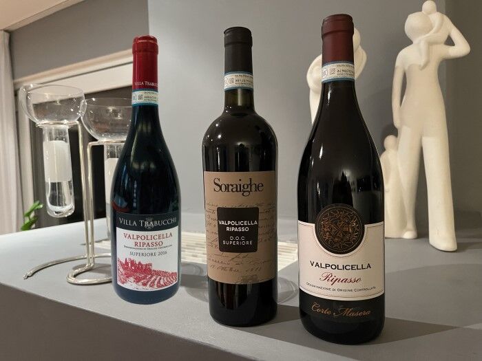 Ripasso Weine im Test