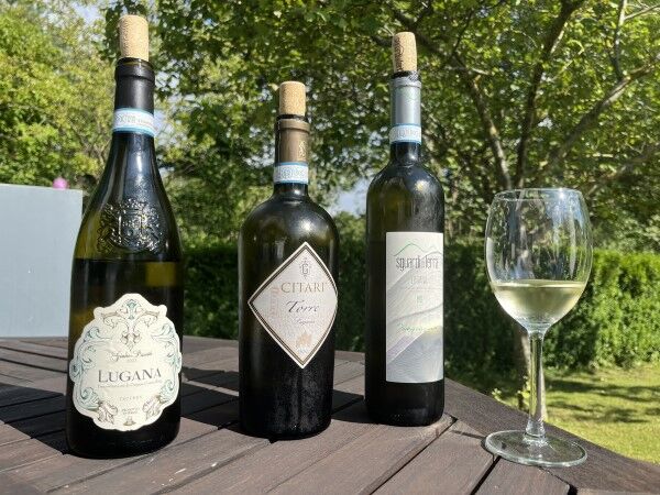 Beste Lugana Weine 2024