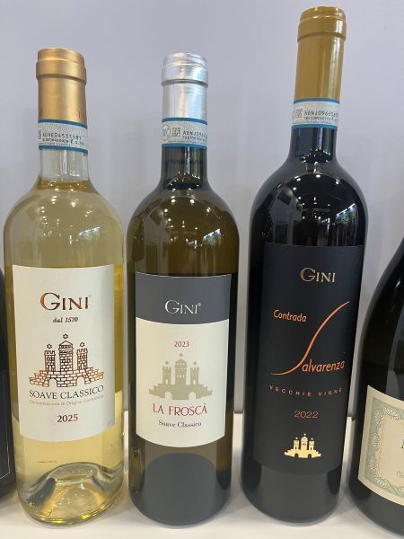 Soave Gini Portfolio