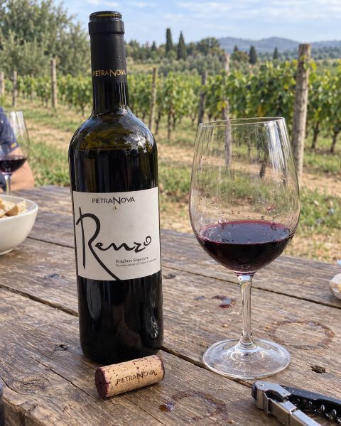 Beste Bolgheri Weine