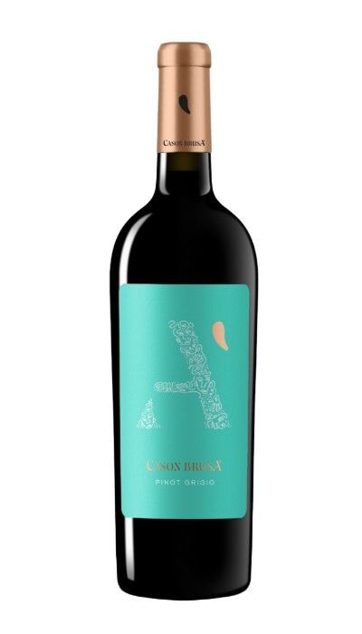 Pinot Grigio Cason Brusa DOC