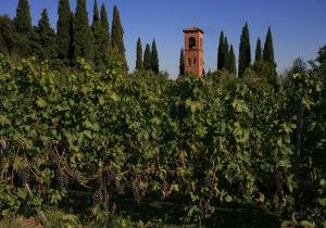 Trabucchi