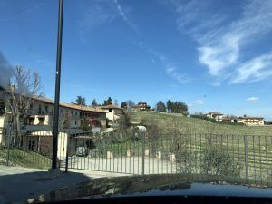 Weinberge