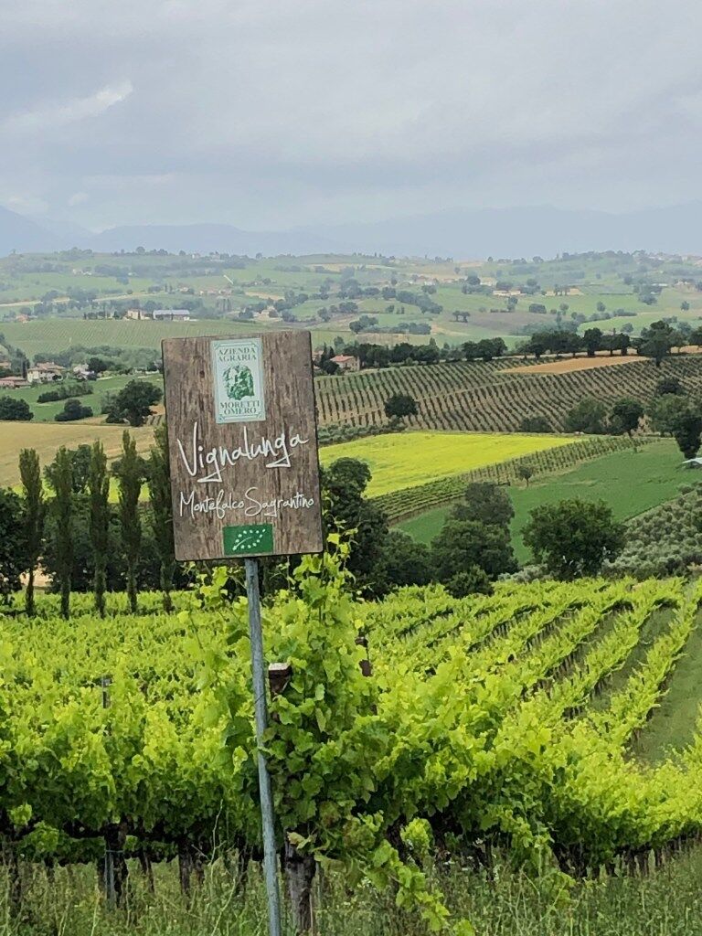 Vignallunga von Moretti Omero aus Umbrien