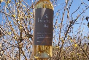 Bianco von Montegiove
