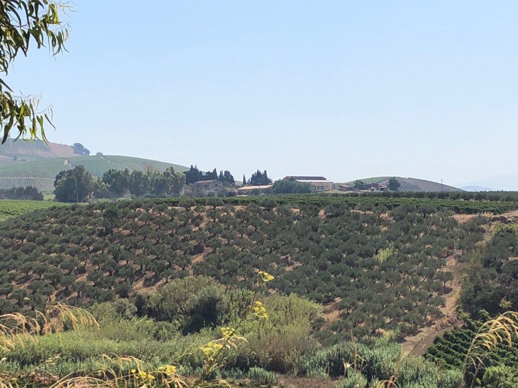 Weingut des Prinzen von Spadafora