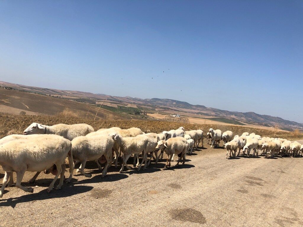 Auf der Strasse nach Spadafora