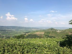 Soave Region