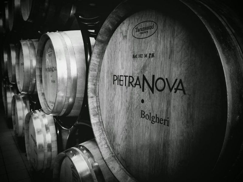 Bolgheri Wein kaufen können SIe bei Weinistgeil