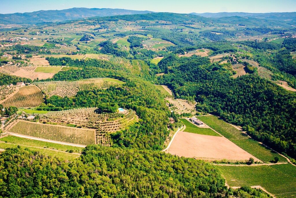 Weingut Carus Vini