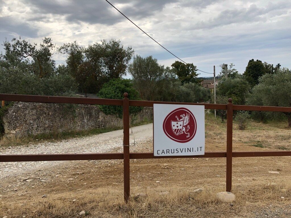 Auf dem Weg zum Weingut