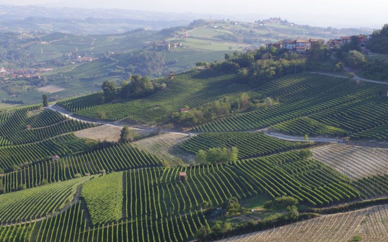 Weingut Stroppiana