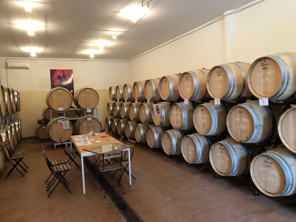 Herstellung von rotwein