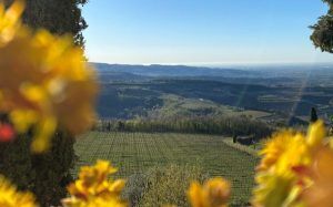 Trebbiano bei Verona