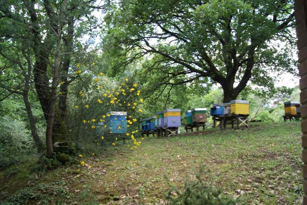 Bienenstoecke von Villa I Cipressi