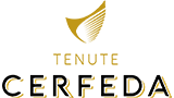 Logo Cerfeda