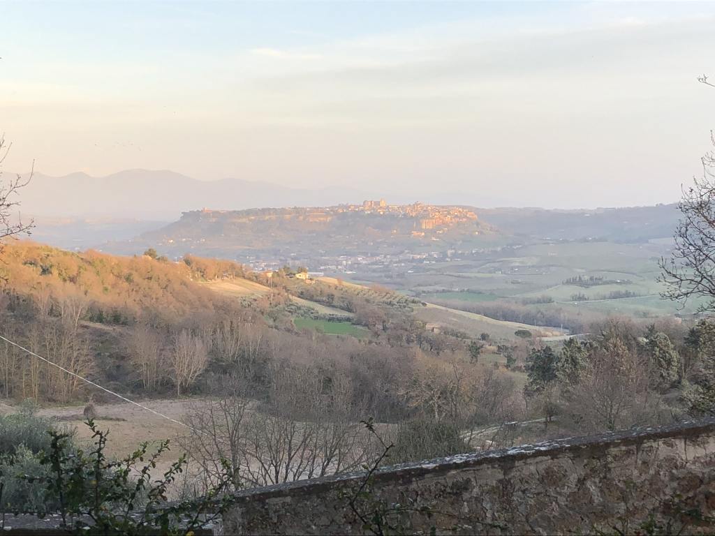 Blick auf Orvieto