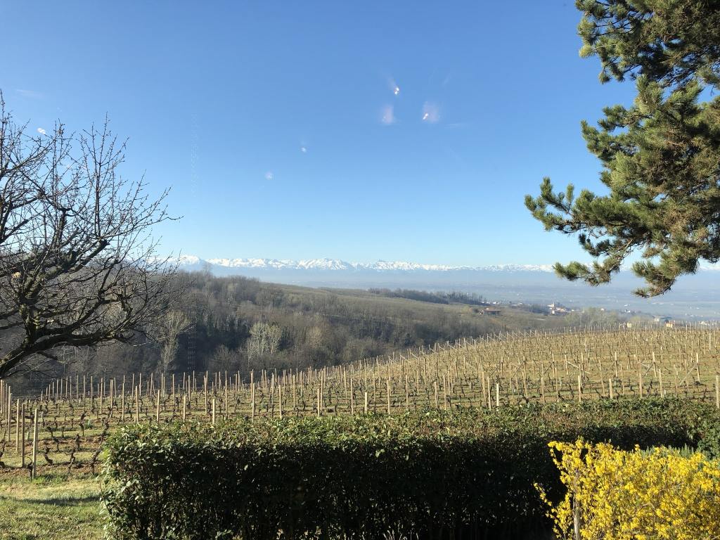 Barbaresco und Barolo