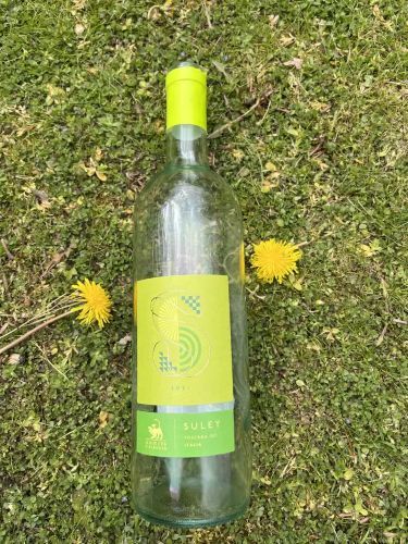 Sangiovese Bianco
