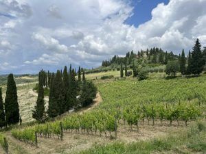 Montecucco Landschaft