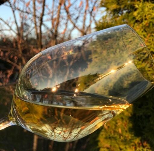 Weinsäure am Beispiel eines Weissweins