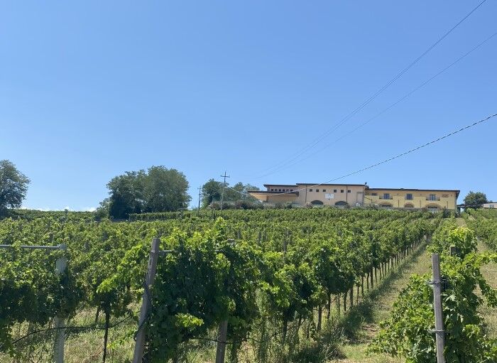 WInzer agriCosimo
