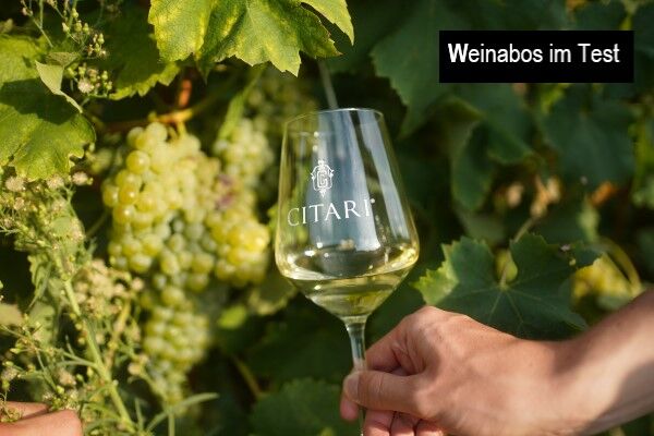 Weinabo im Test