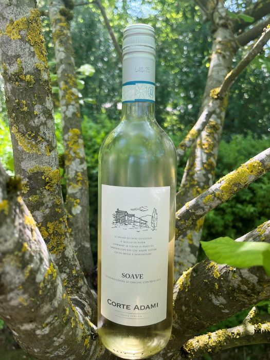 Corte Adami Soave DOC
