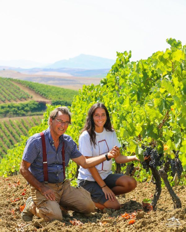 Sole dei Padri von Sparafora - ein Wein Juwel
