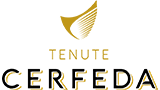 Logo Cerfeda